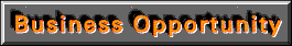 business opportunities